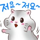 경성살롱 본점 이미지