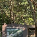 2408 충남 서천 희리산해송자연휴양림 캠핑 후기
