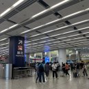 구룡유치원 | 홍콩에서 선전 여행가기