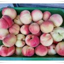 계절별미 이미지