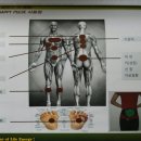 해피파동