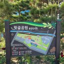 정관 햇동어린이공원 앞(1) | 윗골공원>에 장미 만개하고 있네요. 더위 대비하고 방문하세요(정관 장미공원, 주차, 가는길) 2026.05.17