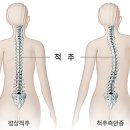 호호필라테스 장산점 이미지