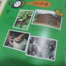 책 놀이터에서 쑥쑥자라요 이미지