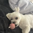 애예은농장 | 25년 10월 3째주 기록