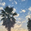 강창학공원 이미지