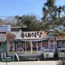 강원 홍천 팔봉산 [동내식당] 찐 한식맛집 후기!