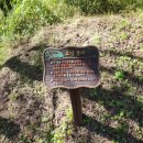 백야자연휴양림 이미지