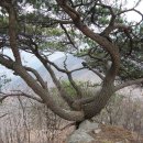 시종중학교 이미지