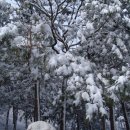 등산세상
