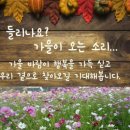 （주）제석관광 이미지