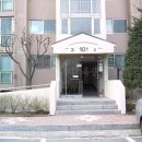클로버치과의원 네이버블로그