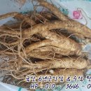 금산인삼 이미지