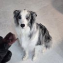 루몽 | 루몽 다이닝 세트