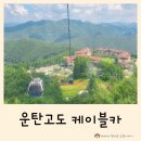 돌탑농장 | 하이원 운탄고도 케이블카 마운틴 탑승 후기