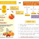 보약같은 농산물을 생산하자! 기능성 유황복숭아와 유황샤인 인증 이미지