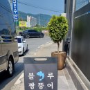 블루짱뚱어 이미지