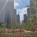 일광초등학교 이미지