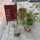 수정커피숍 - 광진구 면목로 201 | 하지커피숍 | 나만 초면이고 모두가 단골인 위례 맛도리 치즈케이크 카페❤️🕊️🧀