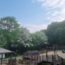 남원 교룡산성 | 남원갈만한곳 숙박캠핑이 가능한 교룡산성