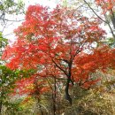 민족의령산 국립공원 제1호 지리산 천왕봉과 도킹하다! 이미지