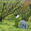 신태양농장 이미지