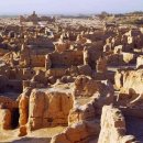 등교하개 이미지