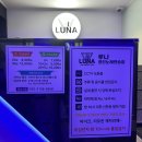 LUNA 코인노래연습장 네이버블로그