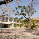 구항초등학교 이미지