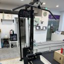 트라이얼 PT 이미지