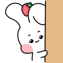 네일또바기 이미지