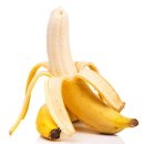 S동물의료센터 이미지