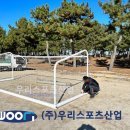 신영초등학교 이미지