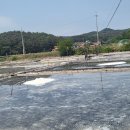 보은용사촌.펜션단지 이미지