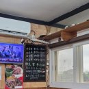 마왕족발제주성산점 | 제주성산맛집 푸짐한식당에서 먹은 제주보말칼국수 후기