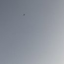 스테이 선물같은시간 이미지