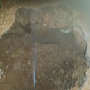 완월동251 이미지