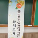 춘천시 생활개선회 농촌동 회원들의 원예치료교육 이미지
