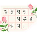 대전광역시청어린이집 이미지