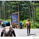 잣향기푸른숲 축령백림관 이미지