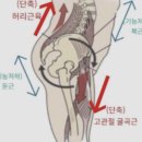 넘버원필라테스 - 수성구 지범로 182 | 넘버원필라테스