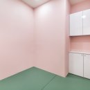 서울쥬니어치과의원 네이버블로그