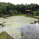 동산제1호 이미지