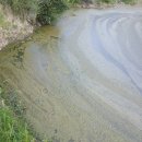 대주농장 이미지