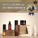 인셀덤인스타