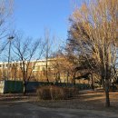 배틀공원 농구장 | 서울숲 숨은 출사지 +자전거대여 및 카페 (Park4)