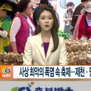 동동로R 이미지