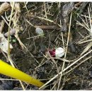 바산농장 이미지