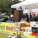 함안면공설운동장 이미지