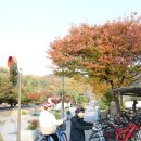 평화2동-14(평화동 한바탕 국민체육센터 대여소) | 전주 은행나무 명소 한옥마을 주변 꽃싱이 타고 둘러보기